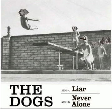 The Dogs : Liar